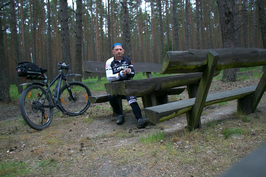 Przerwa przy Reptowskich Torfowiskach