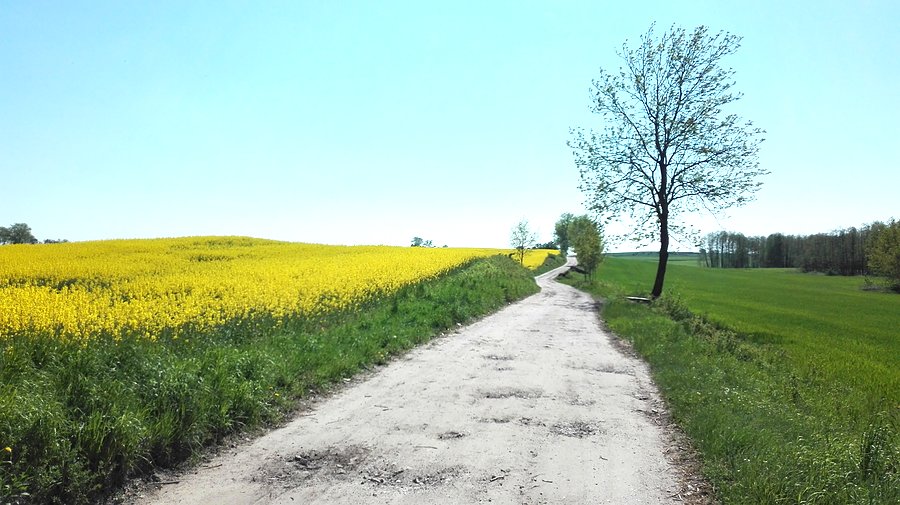 Szuter z Mąkowarska