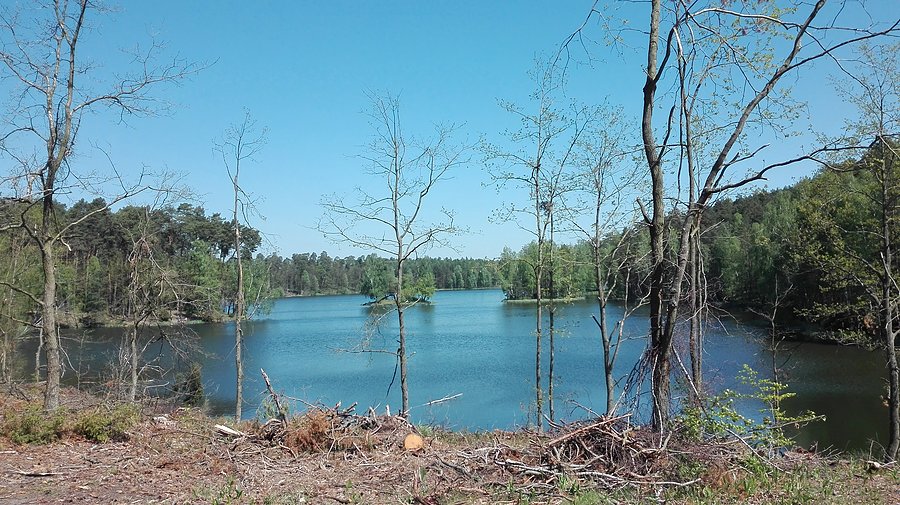 Sokole-Kuźnica