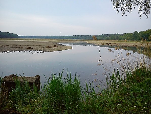 Trwa napełnianie wodą stawów żabienieckich