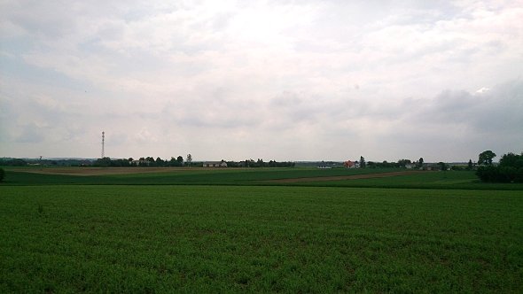 Zielone pola w Osmolicach