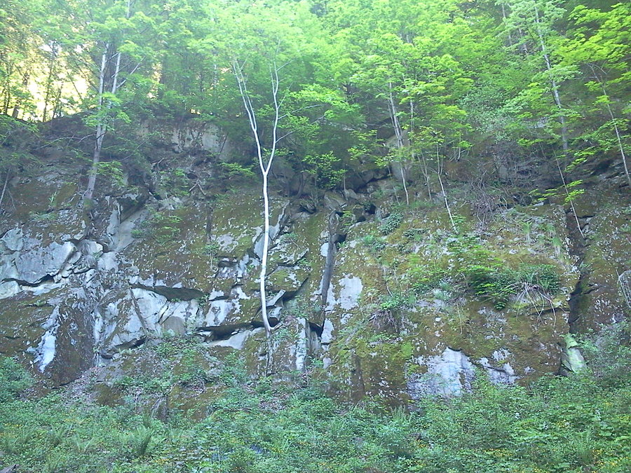 Skalica