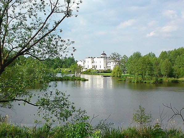 Pałac w Bielawie, biel aż razi