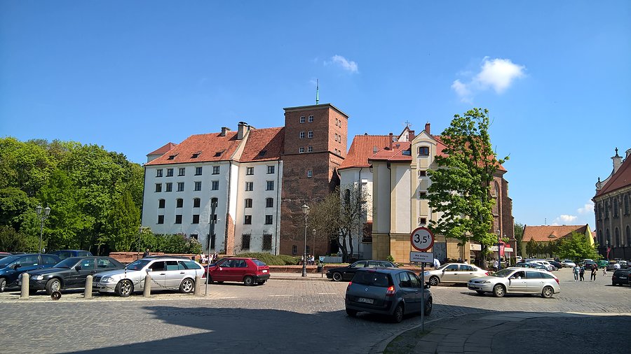 Zamek w Brzegu