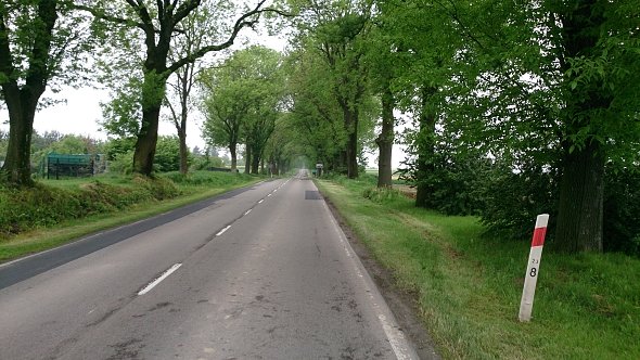 Droga na Strzyżewice