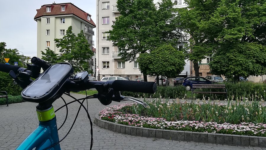 Tulipany już przekwitły