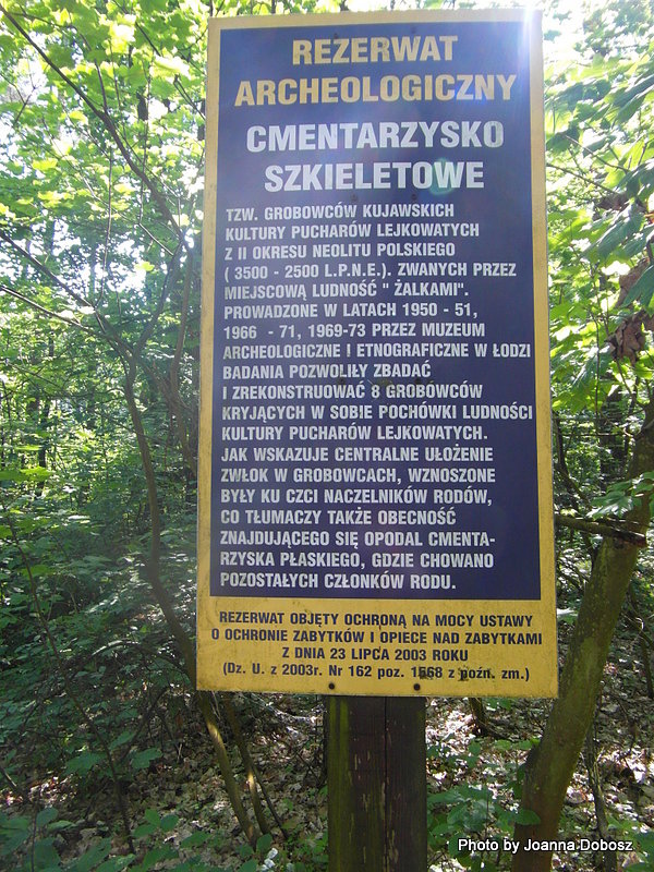 Cmentarzysko w Sarnowie