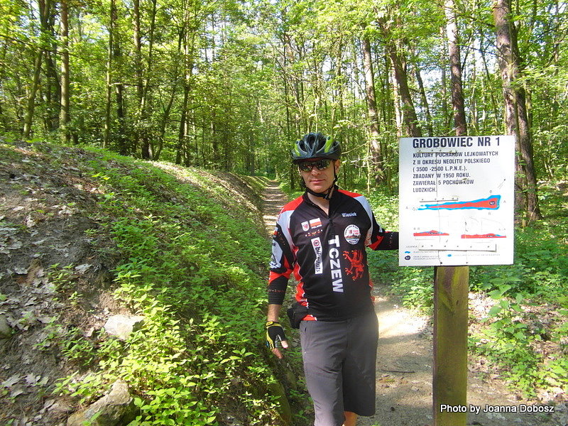 Cmentarzysko w Sarnowie