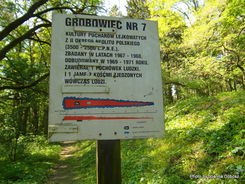 Cmentarzysko w Sarnowie