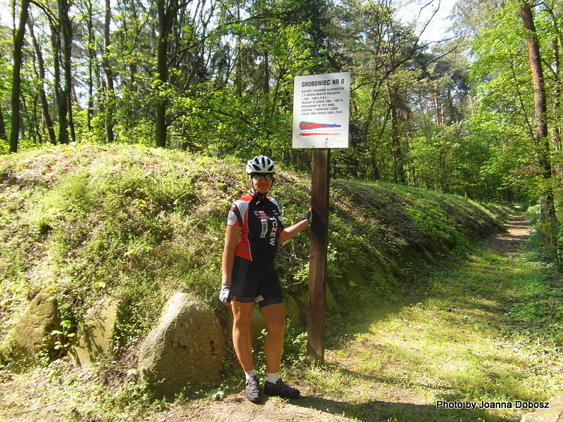 Cmentarzysko w Sarnowie