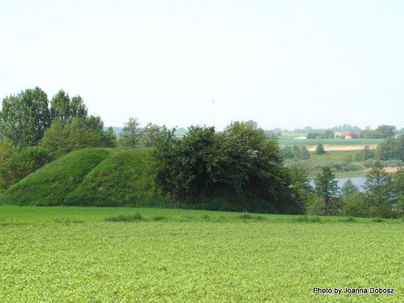 Grodzisko w Chalnie