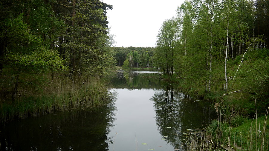 Jezioro Krzaczaste