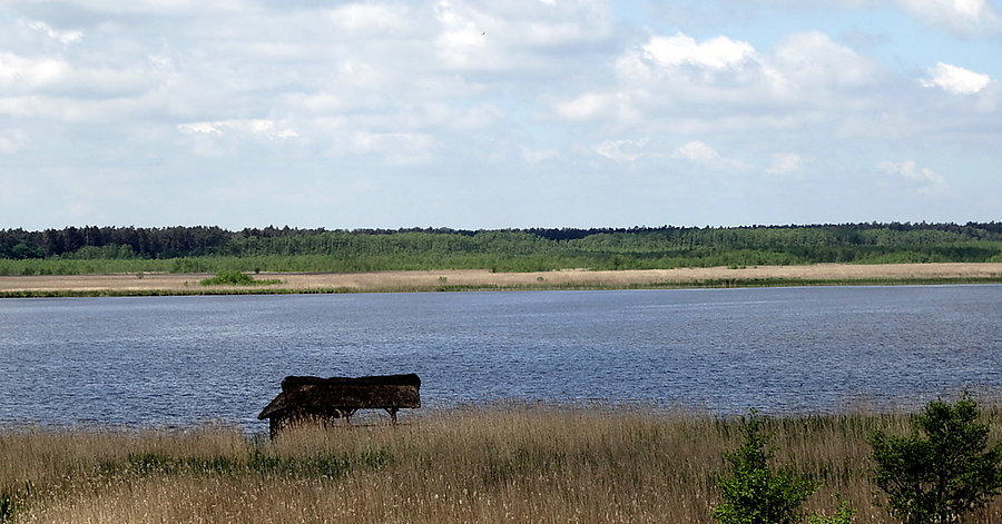 Często powtarzany obrazek znad jeziora Świdwie