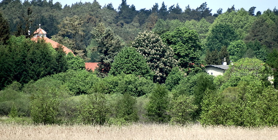 Widok z wieżyczki nad Świdwiem - w oddali obiekty Zalesia