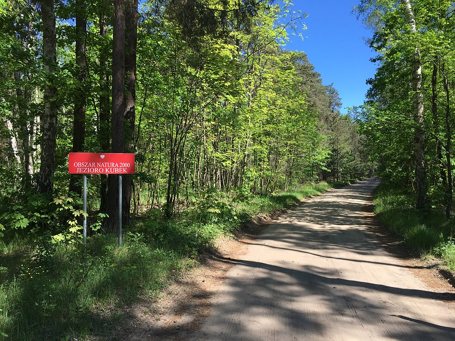 Obszar Natura 2000 - Jezioro Kubek w Puszczy Noteckiej