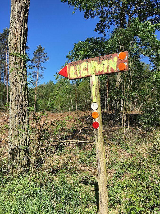 Kierunek osada Lichwin
