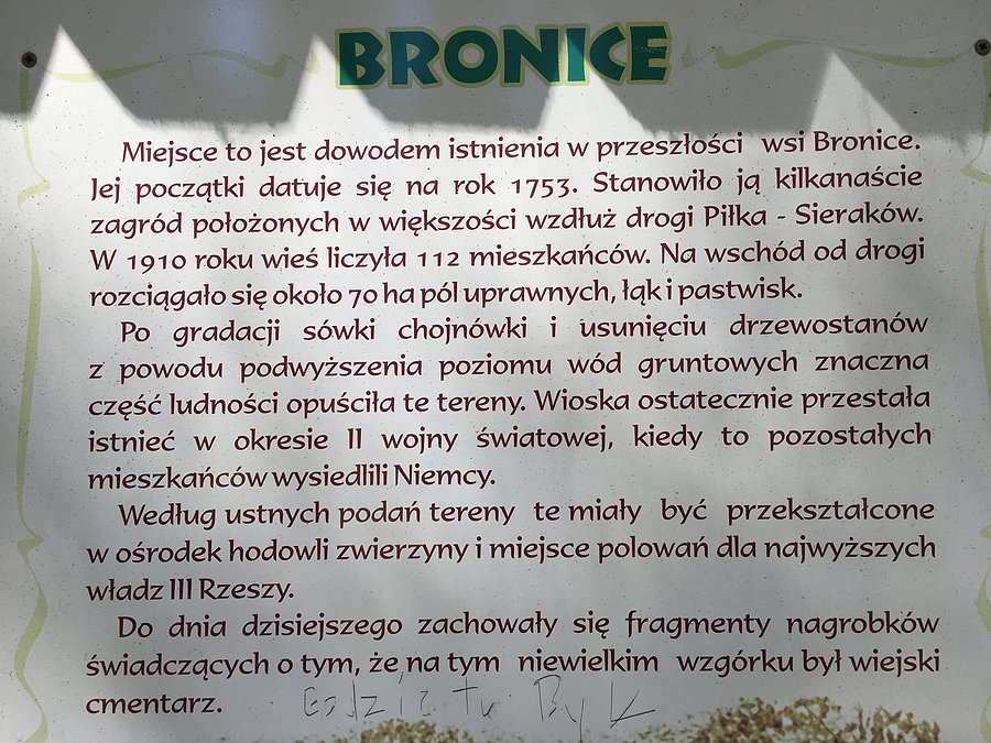 Bronice - kilka informacji