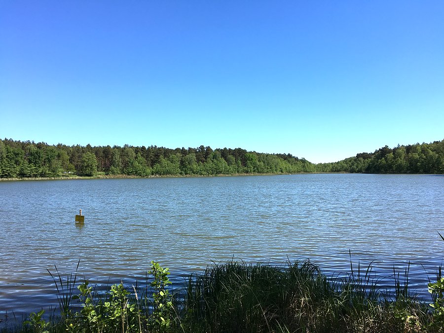 Jezioro Długie - Borzysko-Młyn
