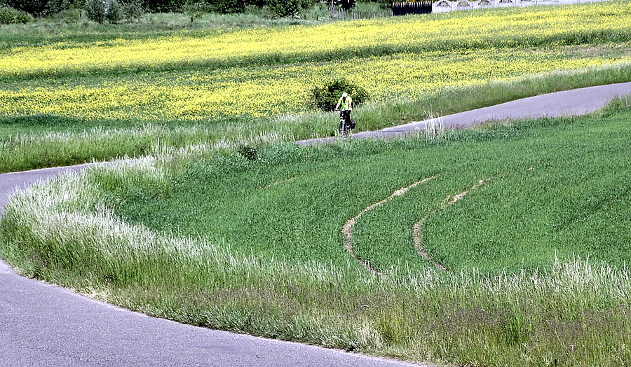Kuba na trasie Karwowo - Smolęcin, nieco pod górę