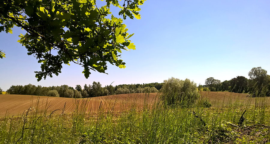 Urocze widoki z trasy wycieczki do Nadrensee