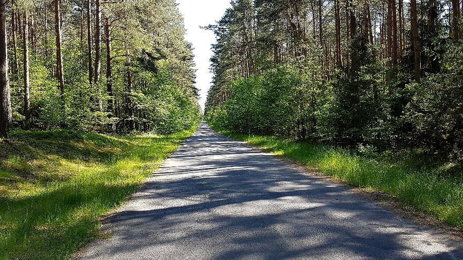 Droga węzeł Rzęśnica - Wielgowo