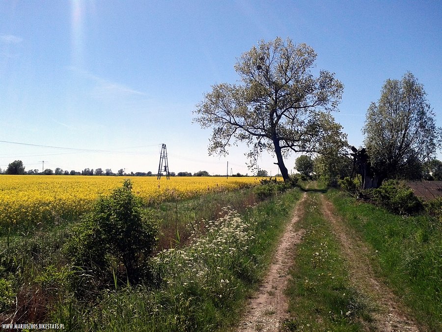Żuławskie klimaty