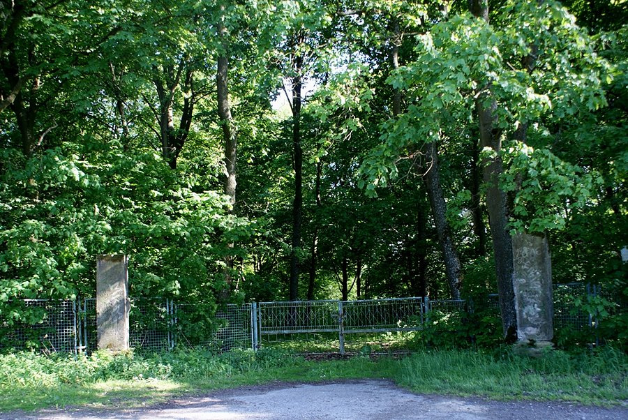 Za bramą park zabytkowy w Grotowicach