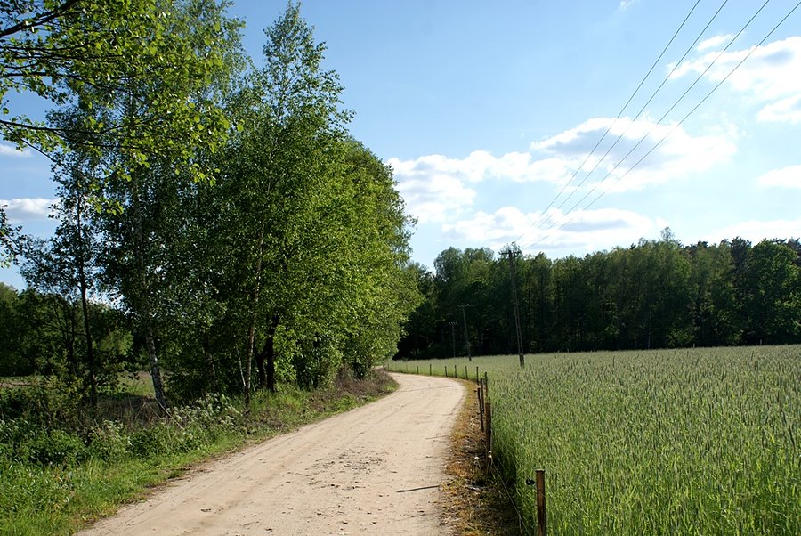 Na zielonym szlaku pieszym