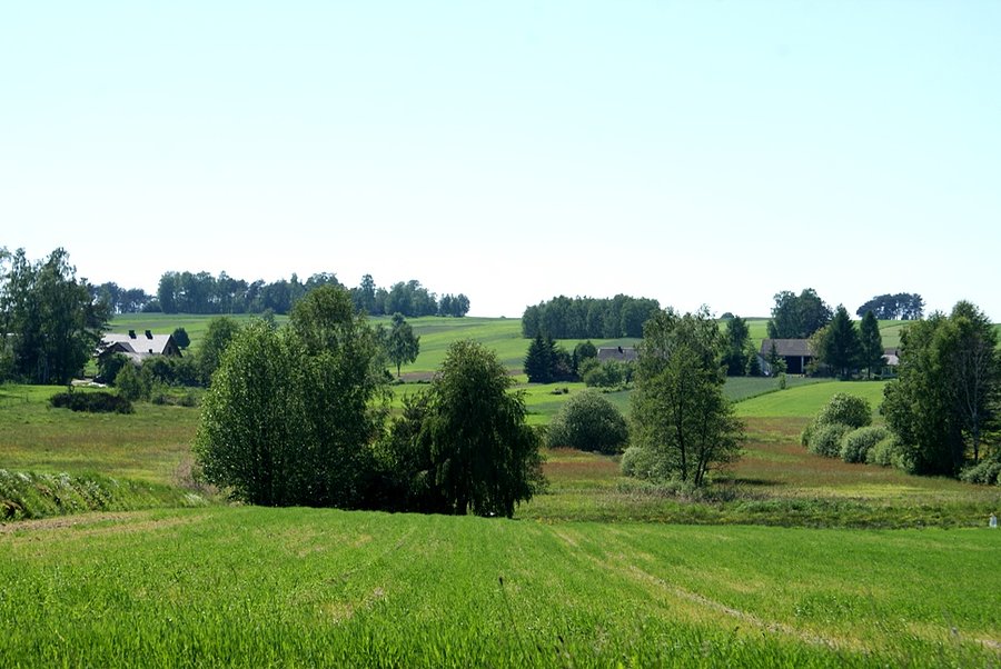 Piękne widoki w gmienie Żelechlinek