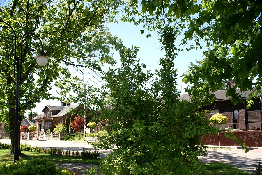 W centrum Żelechlinka