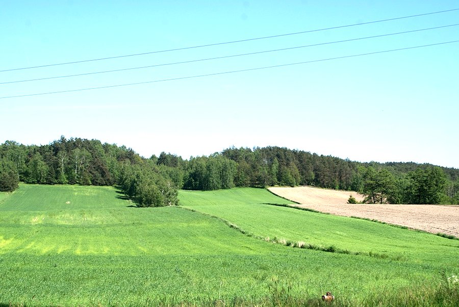 Pagórków ciąg dalszy