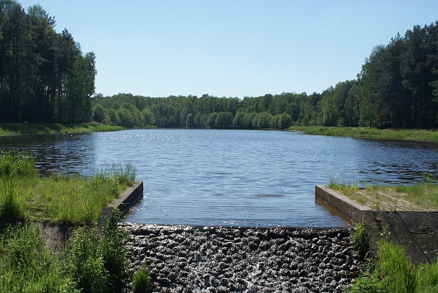 Staw przy wsiach Helenów i Lesisko