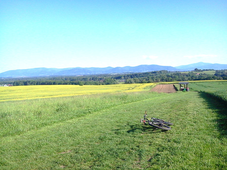 Widoczek na Beskidy