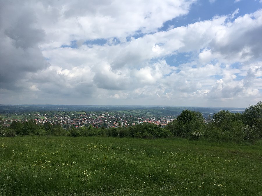 Myślenice z bliska