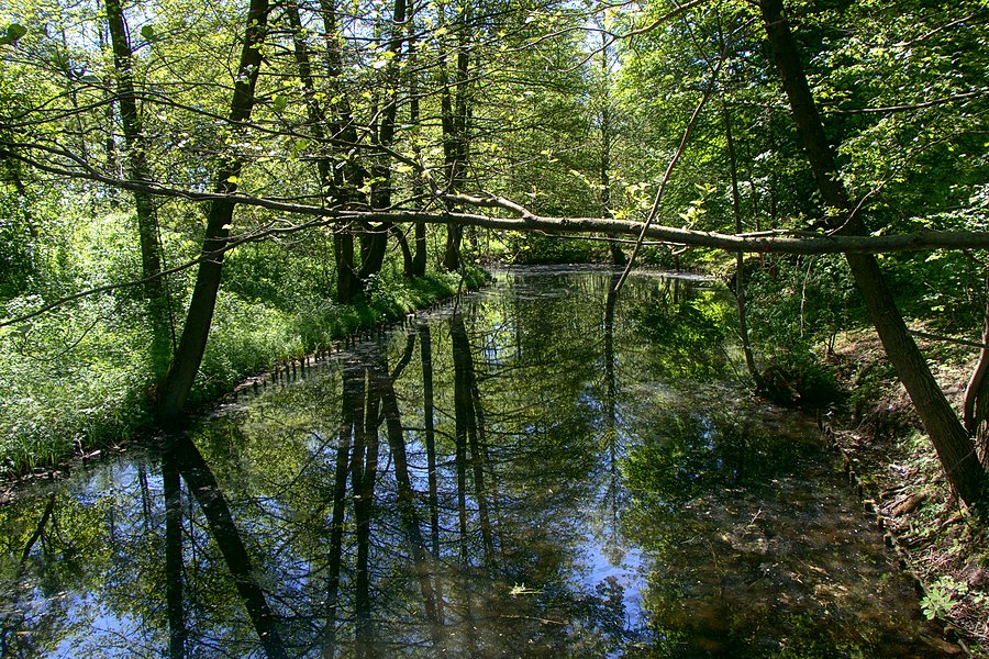 Mijam Korytnicę
