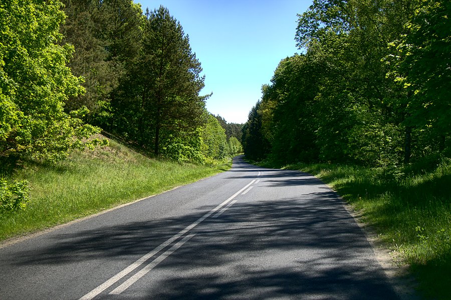 Drogą 177 do Bronikowa