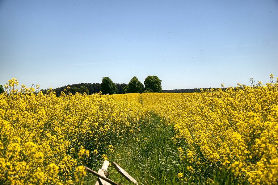 Potem była wąska miedza między polami