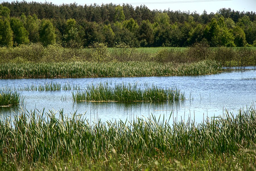 Mijam po drodze jakieś rozlewiska