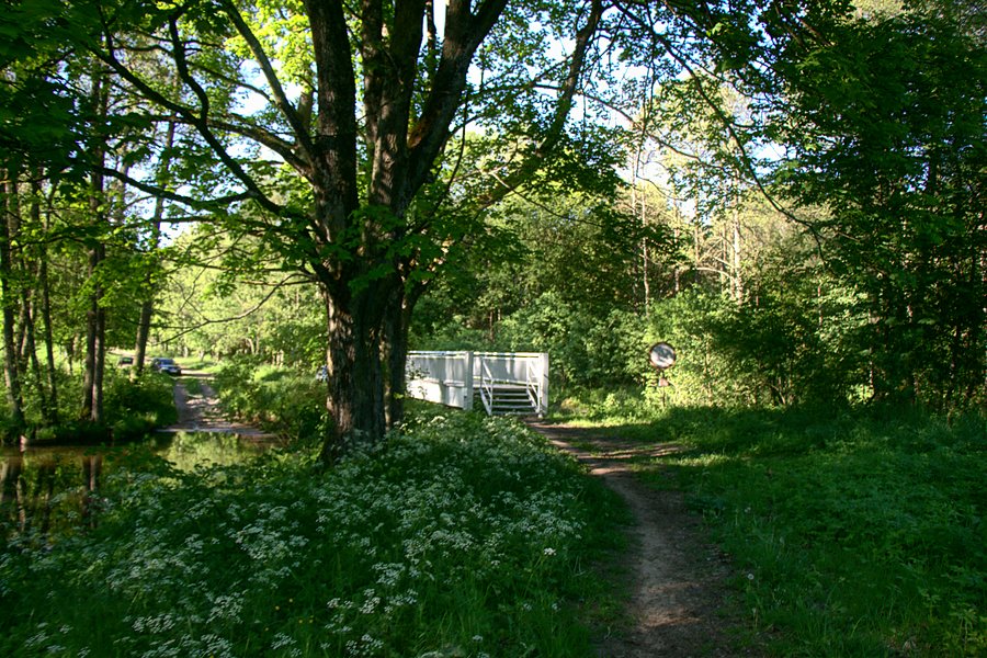 Mostek nad Piławką
