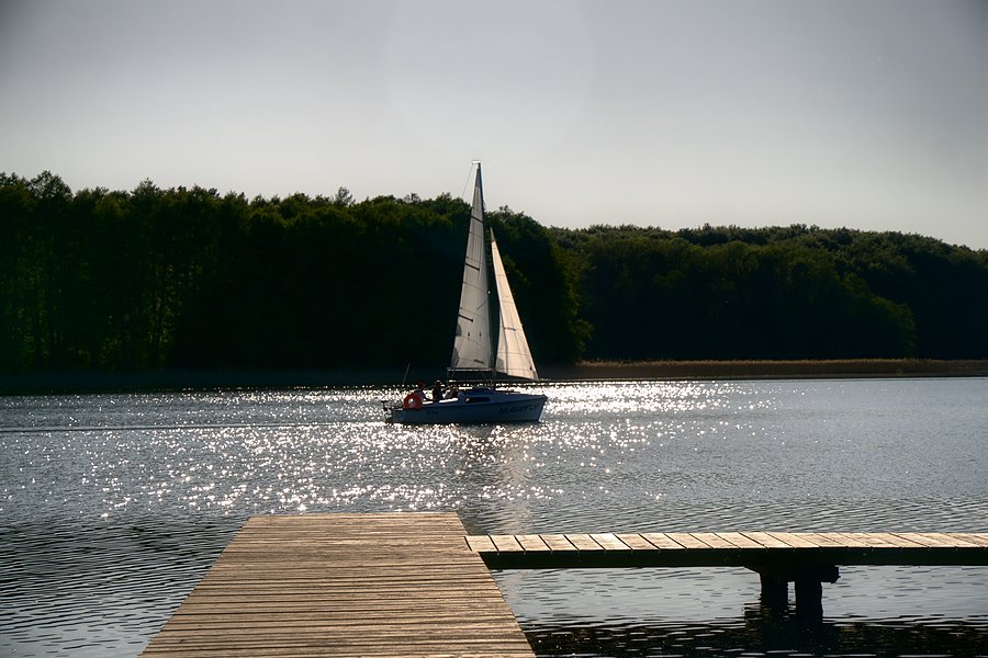 W Drzewoszewie nad jeziorem Bytyń Wielki