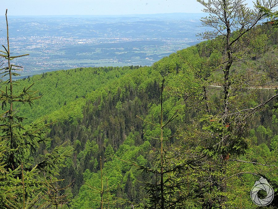 Nowy Sącz w dole, z boku nitka podjazdu