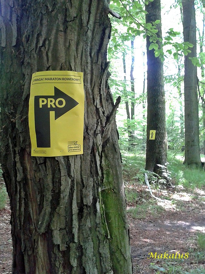 Czasami trafiam na znakowane trasy :-)