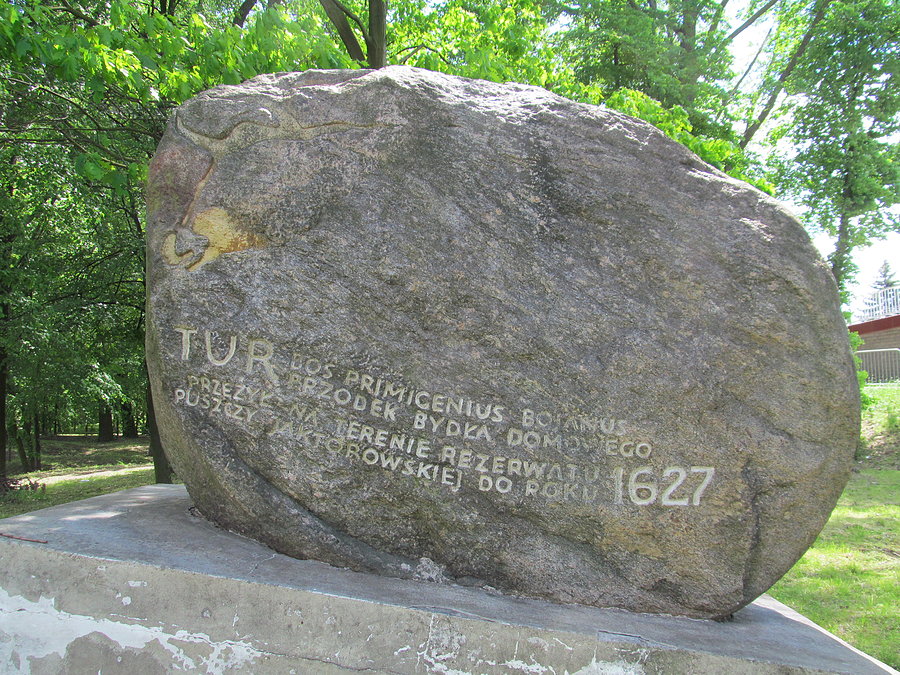 Pomnik turzycy - Jaktorów