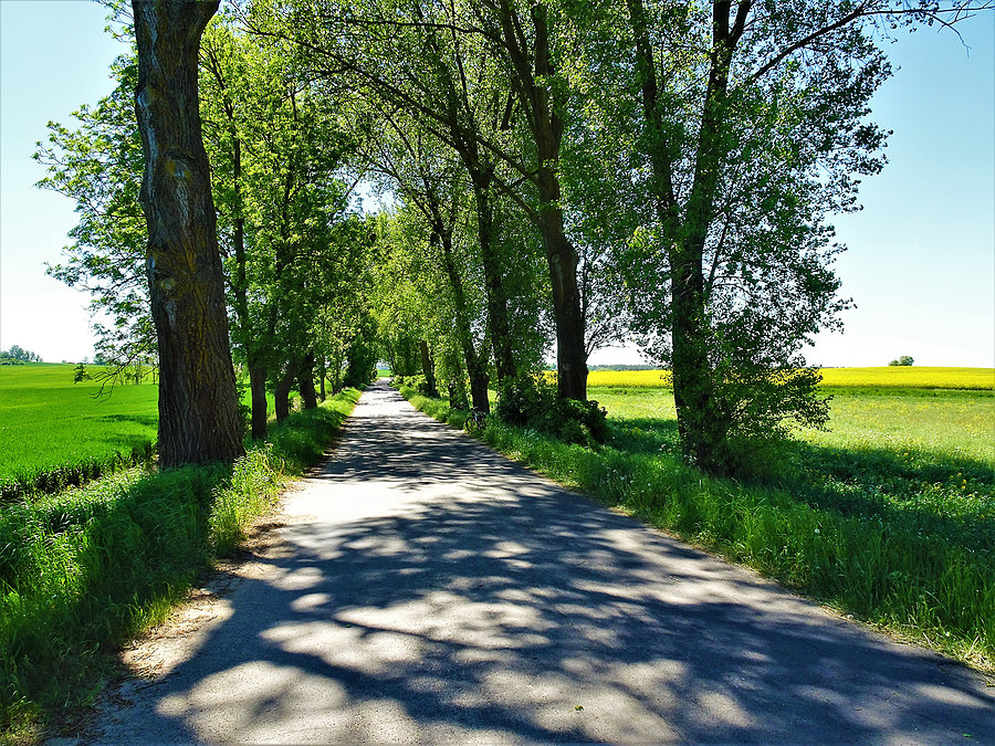 Wiosna na Kociewiu