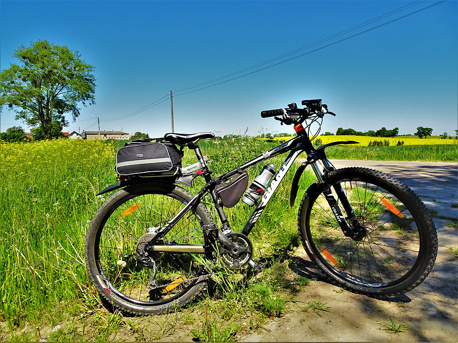 Wiosna na Kociewiu