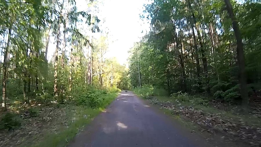 Coś mi przebiegło drogę