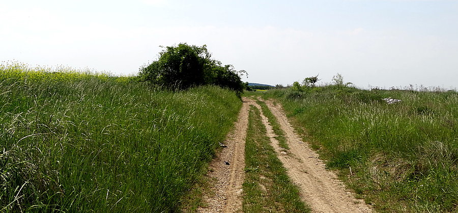 Polna droga Ustowo - Przecław