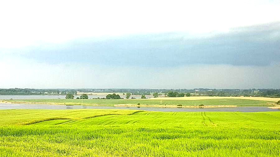Kępy - stawy
