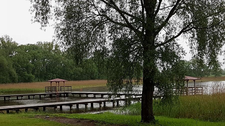 J.Marianowskie