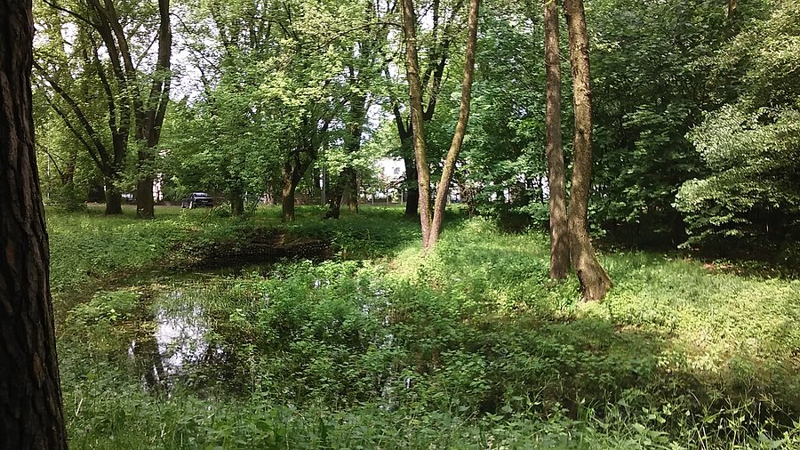 Łódź Zdrowie